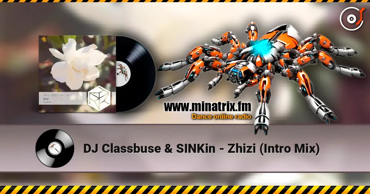 DJ Classbuse & SINKin - Zhizi (Intro Mix) слушать онлайн в высоком качестве | Minatrix.FM