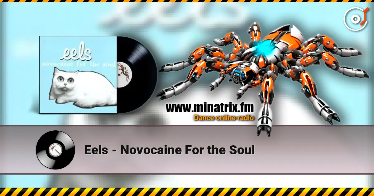 Eels - Novocaine For the Soul слушать онлайн в высоком качестве | Minatrix.FM