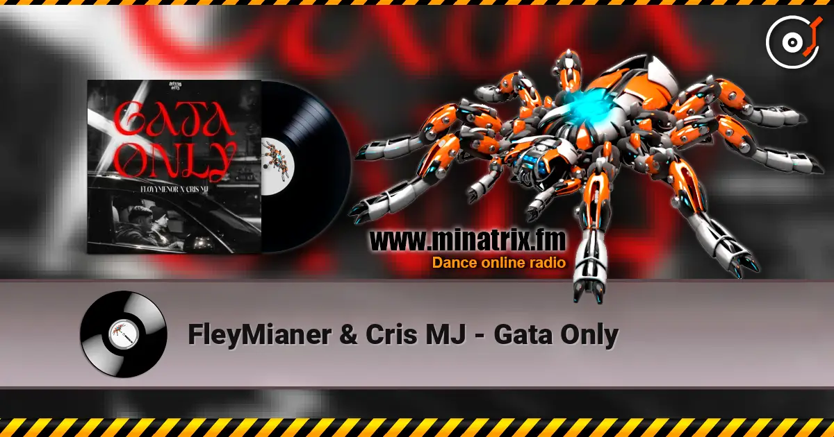 FleyMianer & Cris MJ - Gata Only слушать онлайн в высоком качестве | Minatrix.FM