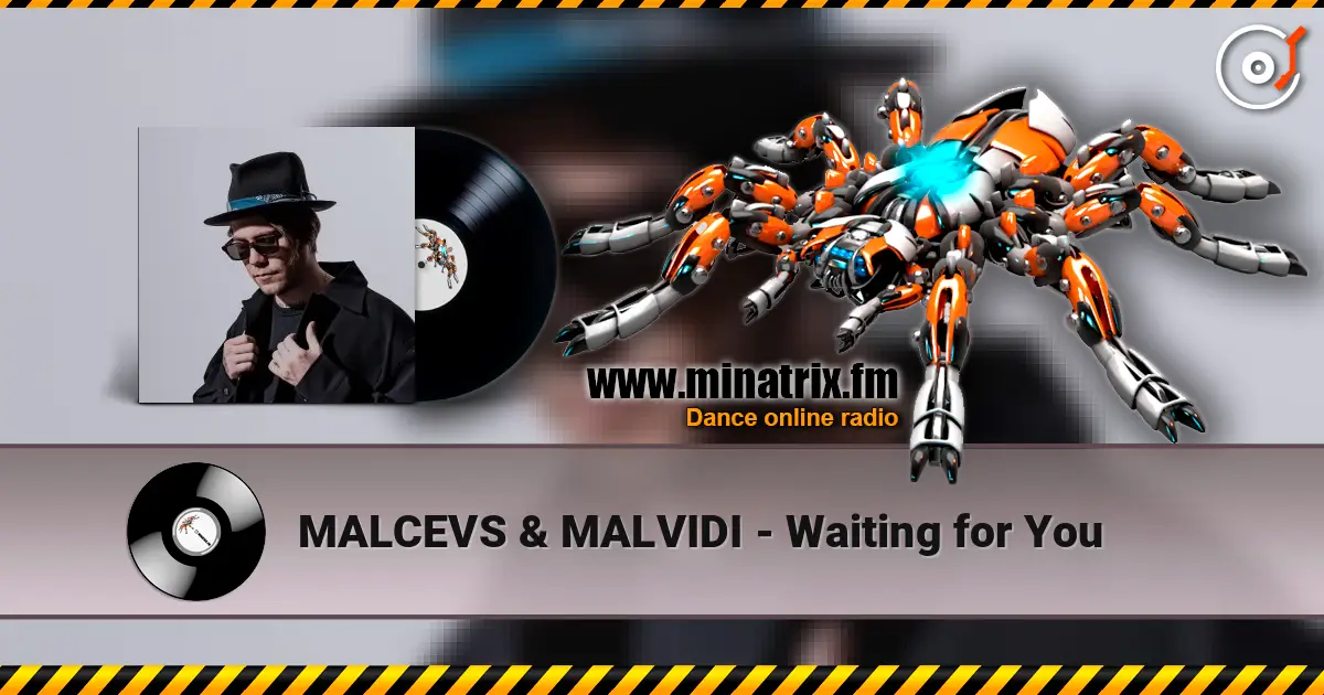 MALCEVS & MALVIDI - Waiting for You слушать онлайн в высоком качестве | Minatrix.FM