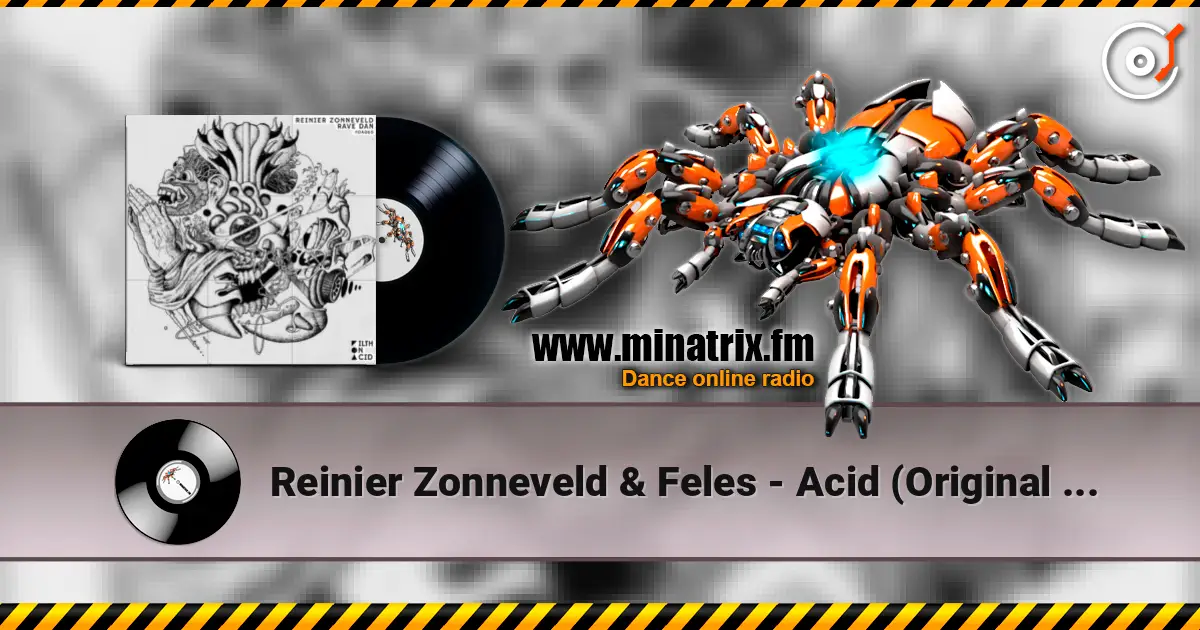 Reinier Zonneveld & Feles - Acid (Original Mix) слушать онлайн в высоком качестве | Minatrix.FM