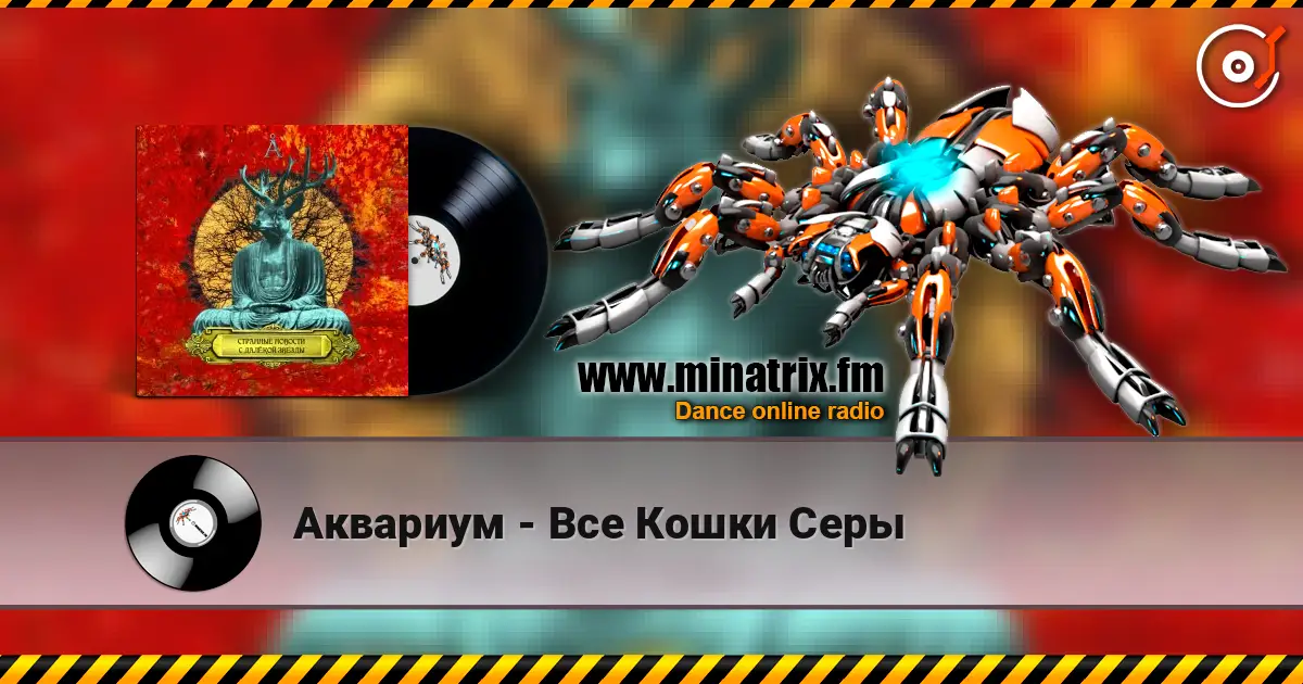 Аквариум - Все Кошки Серы 在线收听高音质 | Minatrix.FM
