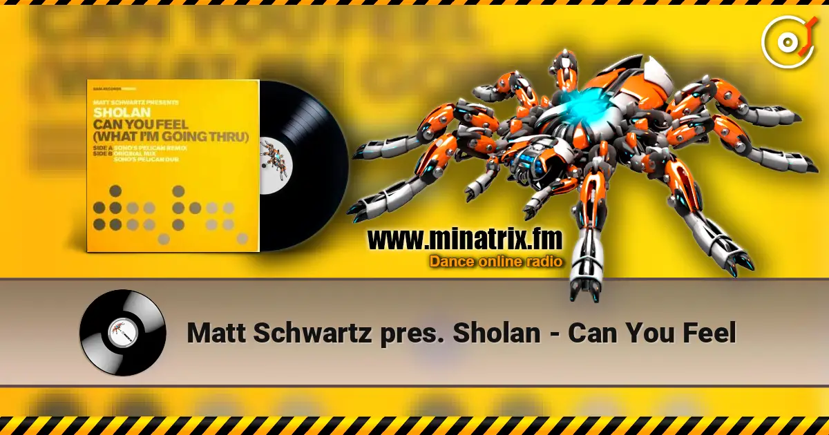 Matt Schwartz pres. Sholan - Can You Feel écouter en ligne en haute qualité | Minatrix.FM