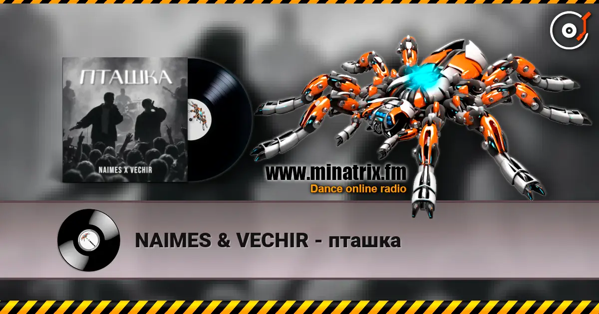 NAIMES & VECHIR - пташка слушать онлайн в высоком качестве | Minatrix.FM