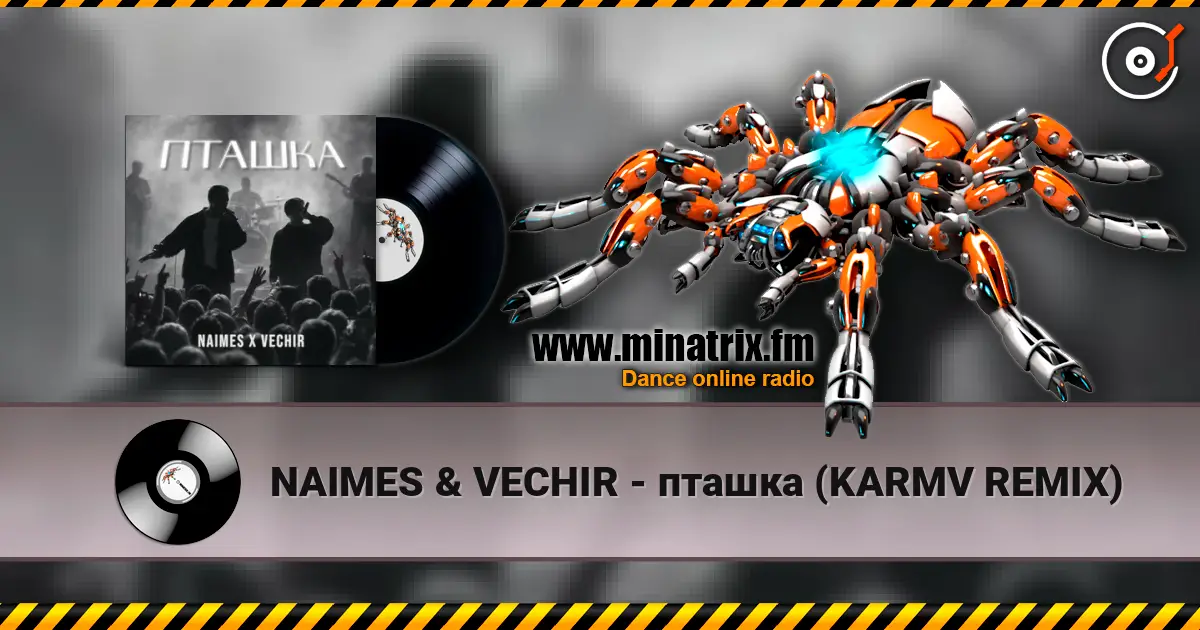 NAIMES & VECHIR - пташка (KARMV REMIX) слушать онлайн в высоком качестве | Minatrix.FM