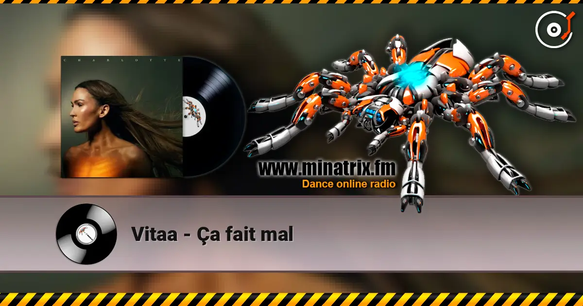 Vitaa - Ça fait mal слушать онлайн в высоком качестве | Minatrix.FM