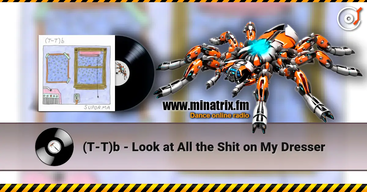 (T-T)b - Look at All the Shit on My Dresser слушать онлайн в высоком качестве | Minatrix.FM