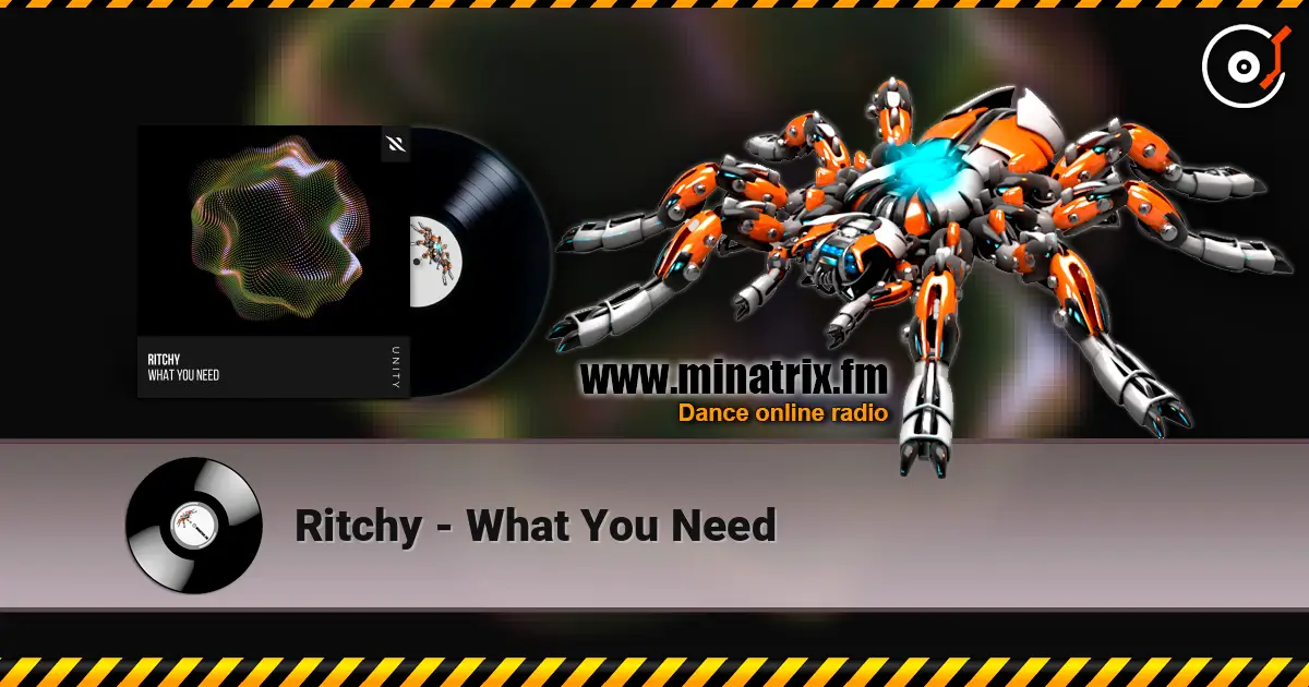 Ritchy - What You Need слушать онлайн в высоком качестве | Minatrix.FM