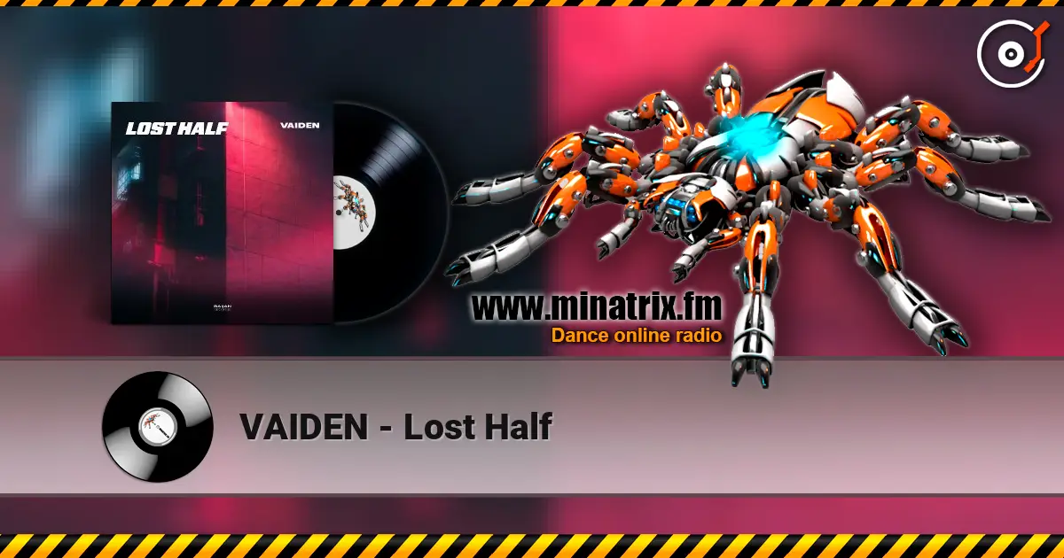 VAIDEN - Lost Half слушать онлайн в высоком качестве | Minatrix.FM