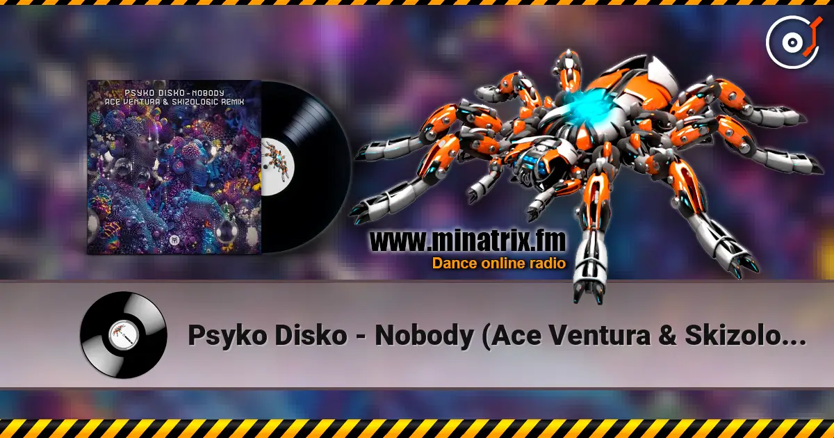 Psyko Disko - Nobody (Ace Ventura & Skizologic Remix) écouter en ligne en haute qualité | Minatrix.FM