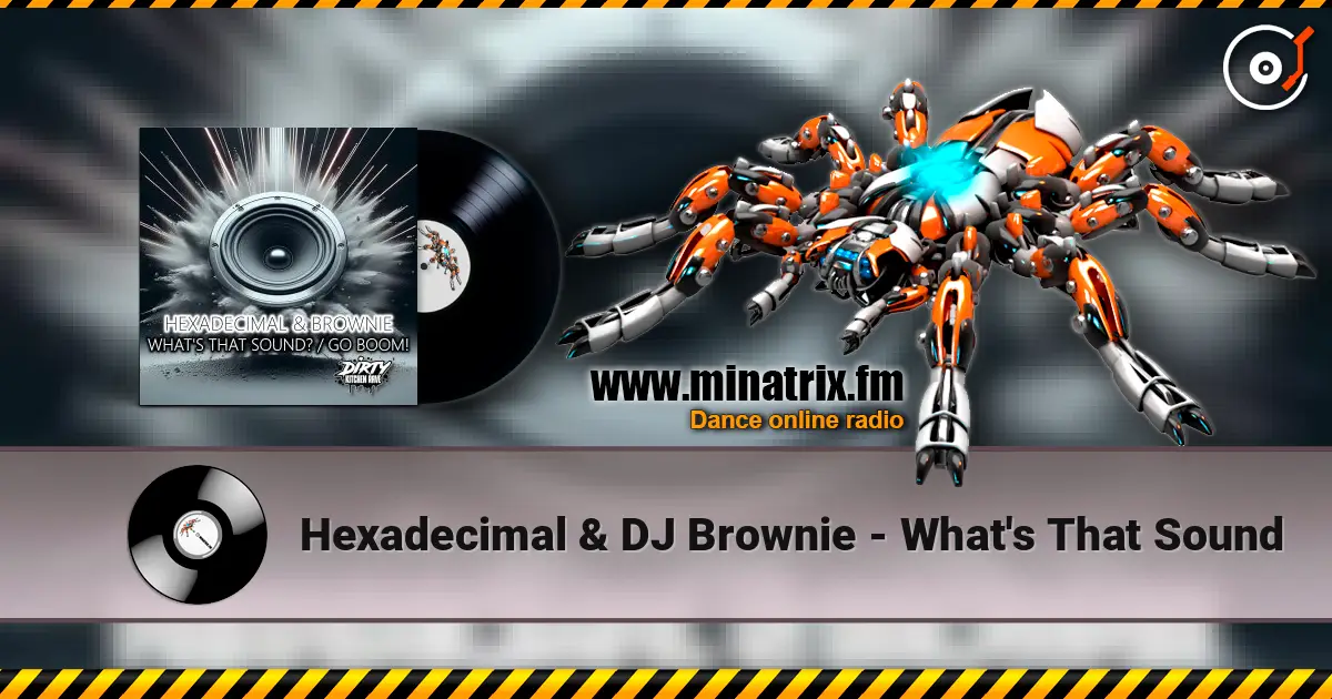 Hexadecimal & DJ Brownie - What's That Sound слушать онлайн в высоком качестве | Minatrix.FM