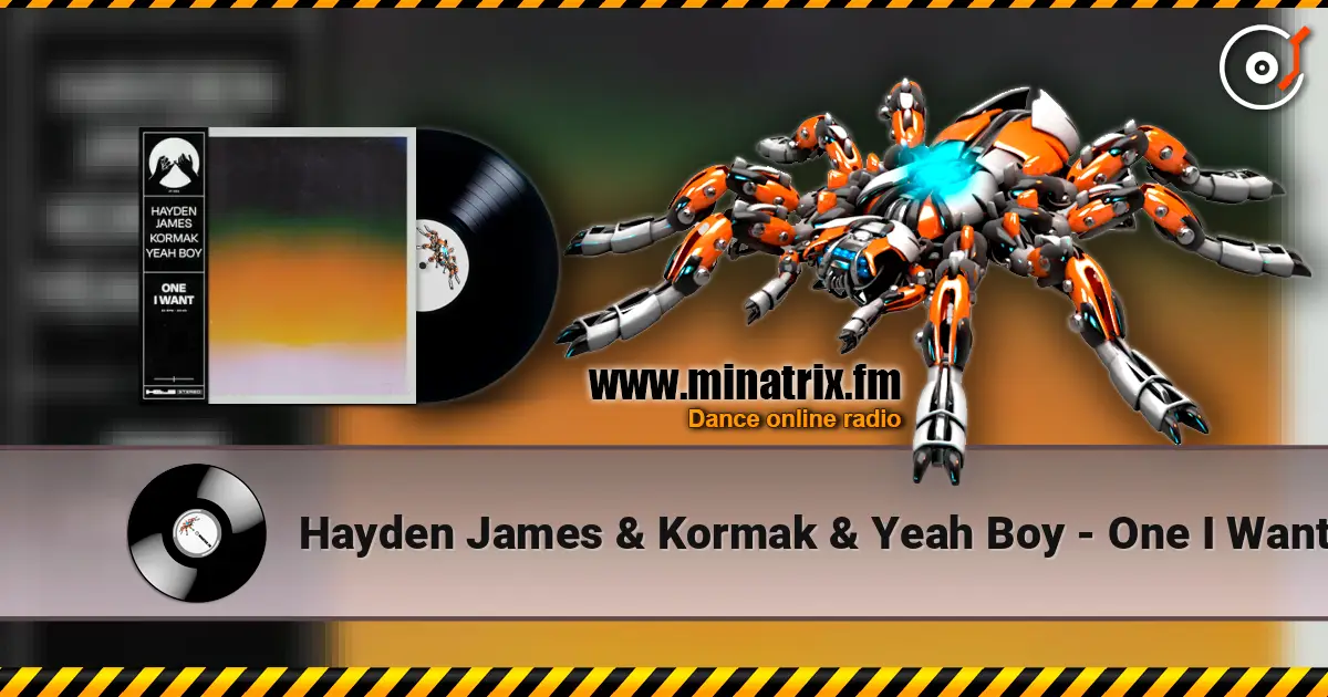 Hayden James & Kormak & Yeah Boy - One I Want слушать онлайн в высоком качестве | Minatrix.FM
