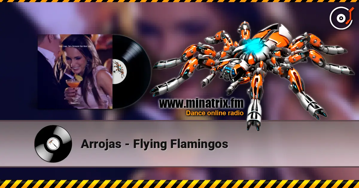 Arrojas - Flying Flamingos слушать онлайн в высоком качестве | Minatrix.FM