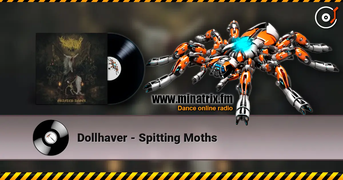 Dollhaver - Spitting Moths слушать онлайн в высоком качестве | Minatrix.FM
