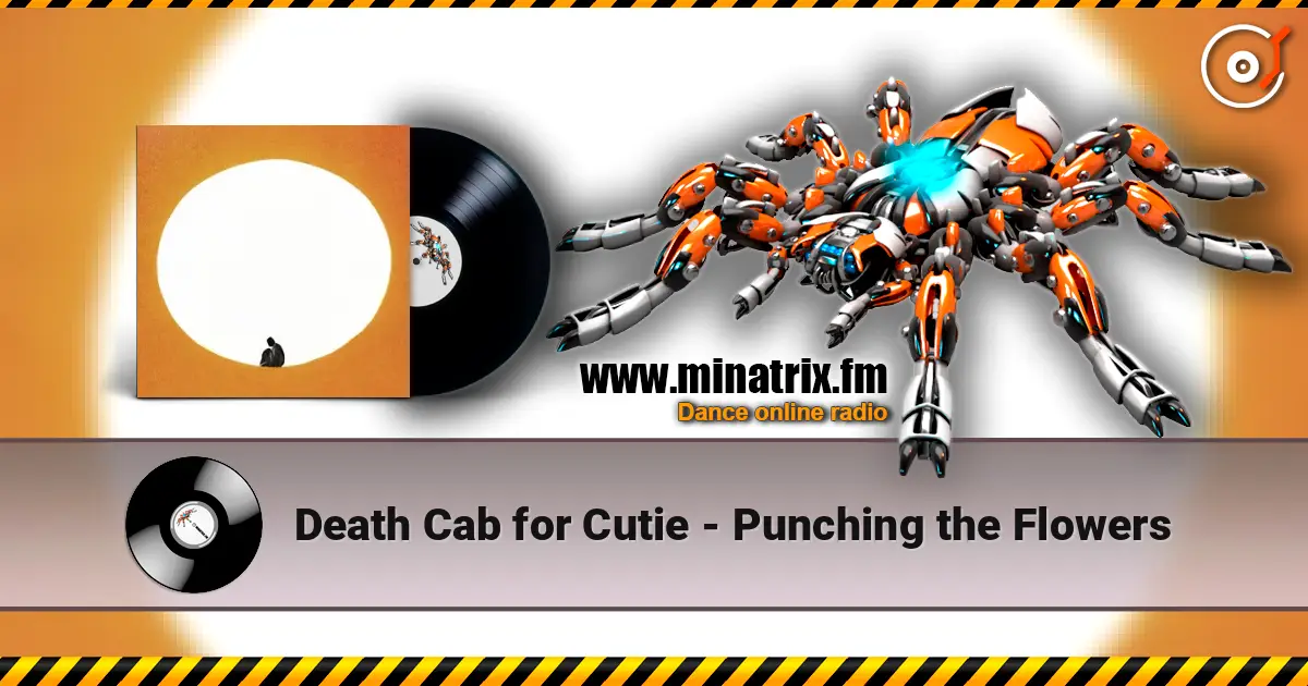 Death Cab for Cutie - Punching the Flowers 在线收听高音质 | Minatrix.FM