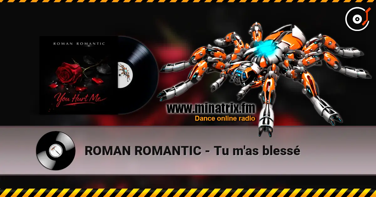 ROMAN ROMANTIC - Tu m'as blessé 在线收听高音质 | Minatrix.FM