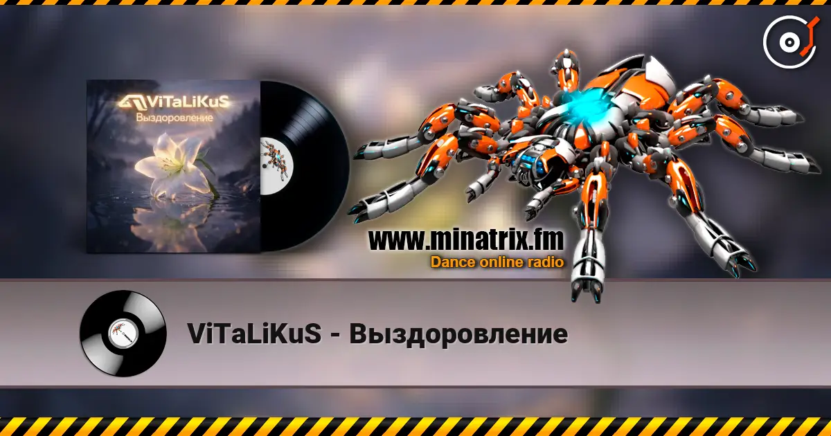 ViTaLiKuS - Выздоровление слухати онлайн у високій якості | Minatrix.FM