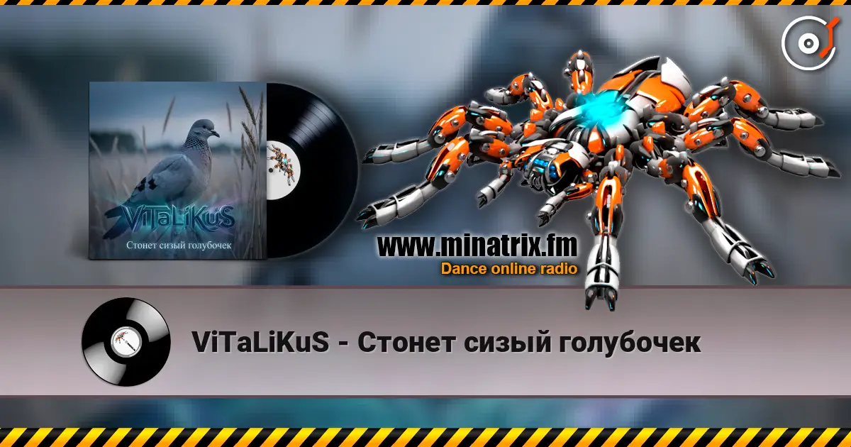 ViTaLiKuS - Стонет сизый голубочек слухати онлайн у високій якості | Minatrix.FM