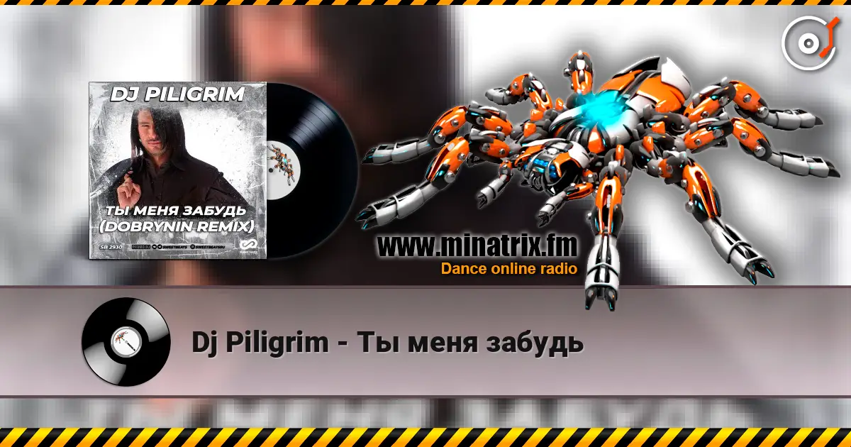 Dj Piligrim - Ты меня забудь listen online in high quality | Minatrix.FM