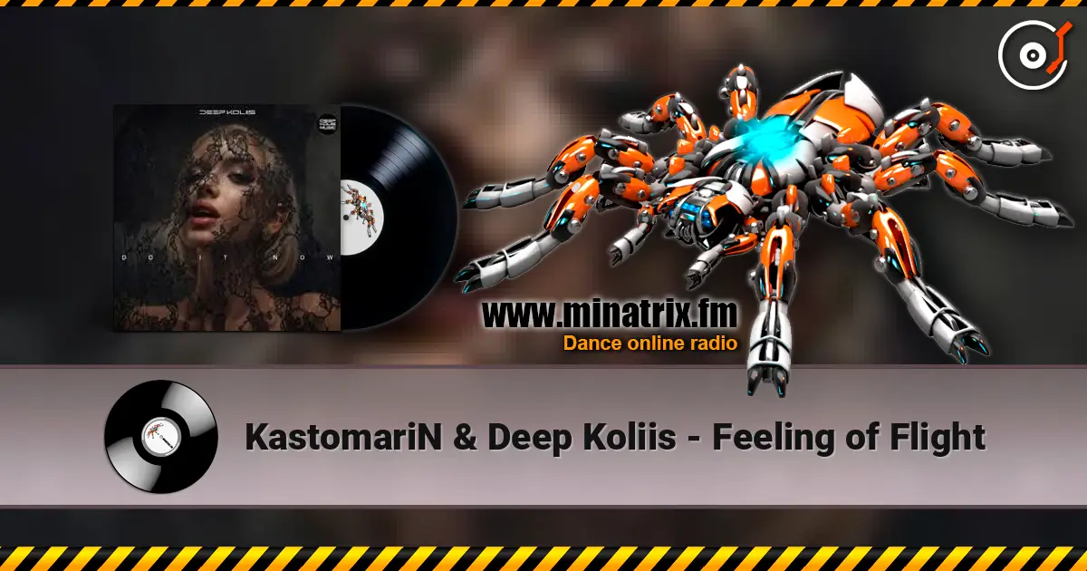 KastomariN & Deep Koliis - Feeling of Flight слушать онлайн в высоком качестве | Minatrix.FM