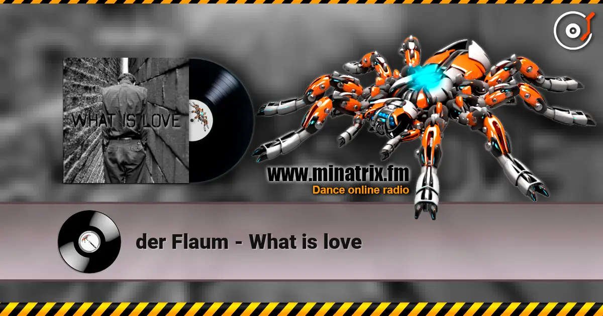 der Flaum - What is love listen online in high quality | Minatrix.FM