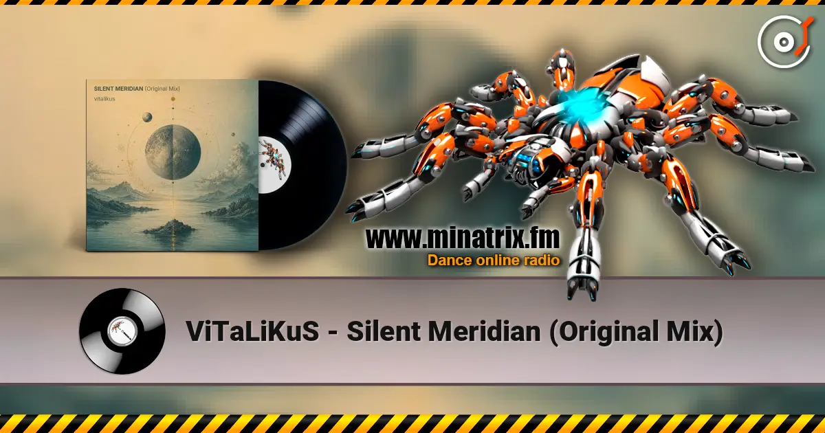 ViTaLiKuS - Silent Meridian (Original Mix) слушать онлайн в высоком качестве | Minatrix.FM