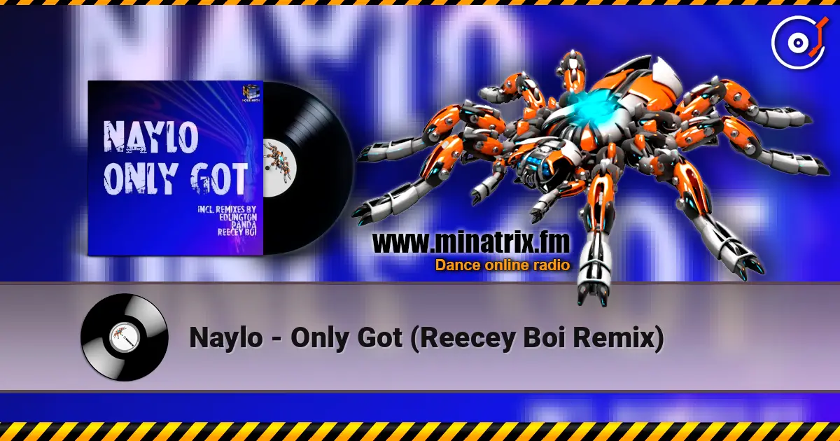 Naylo - Only Got (Reecey Boi Remix) online in hoher Qualität hören | Minatrix.FM