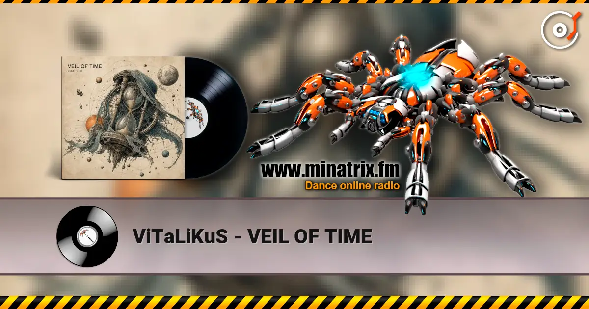 ViTaLiKuS - VEIL OF TIME слушать онлайн в высоком качестве | Minatrix.FM