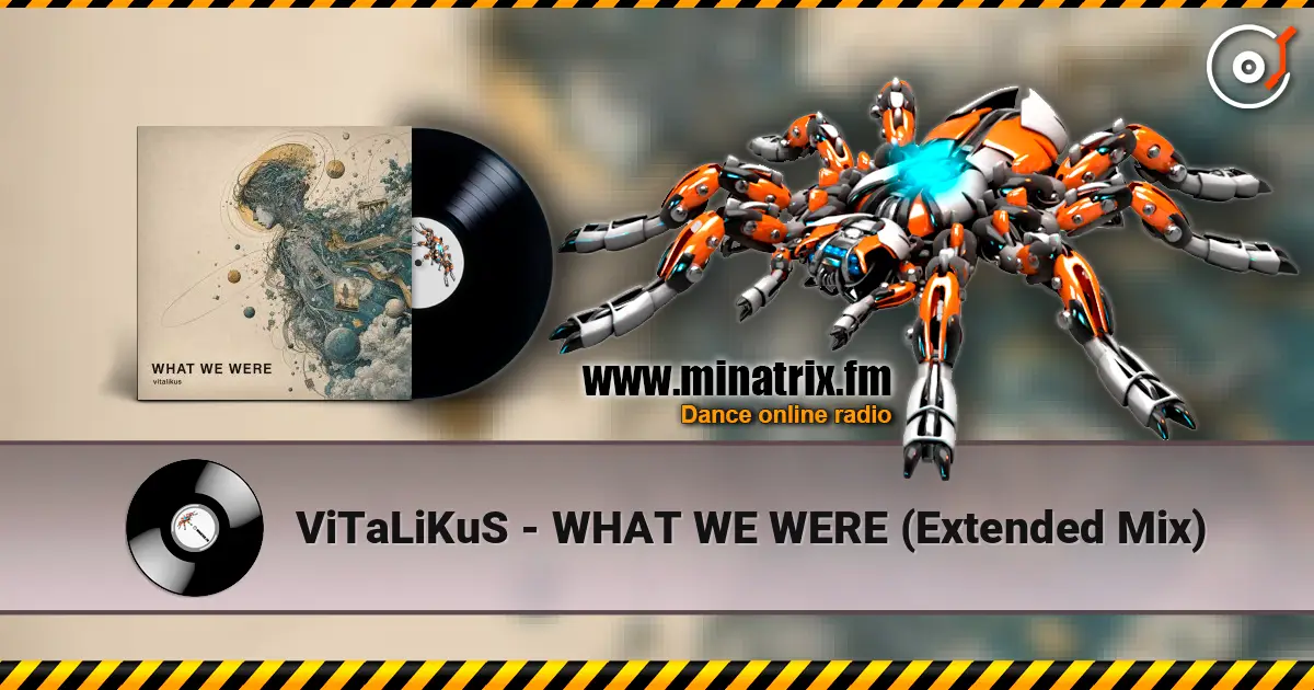 ViTaLiKuS - WHAT WE WERE (Extended Mix) слухати онлайн у високій якості | Minatrix.FM