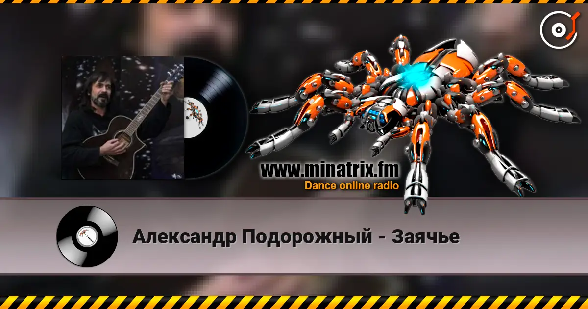 Александр Подорожный - Заячье 高品质在线收听 | Minatrix.FM
