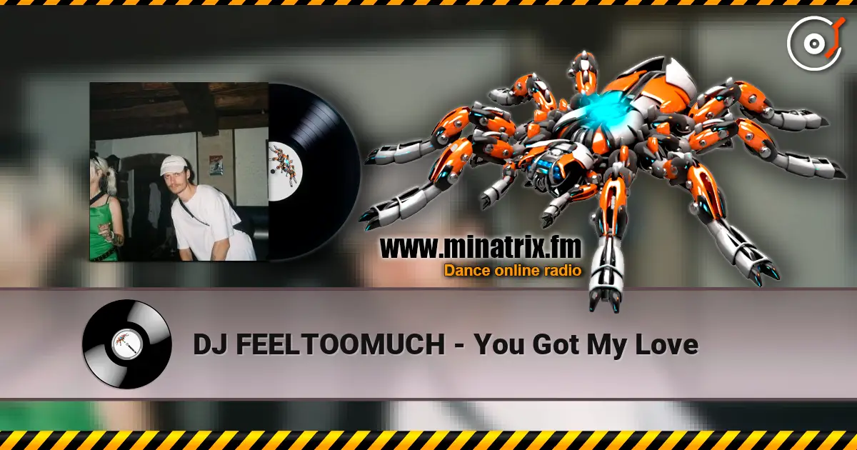 DJ FEELTOOMUCH - You Got My Love écouter en ligne en haute qualité | Minatrix.FM