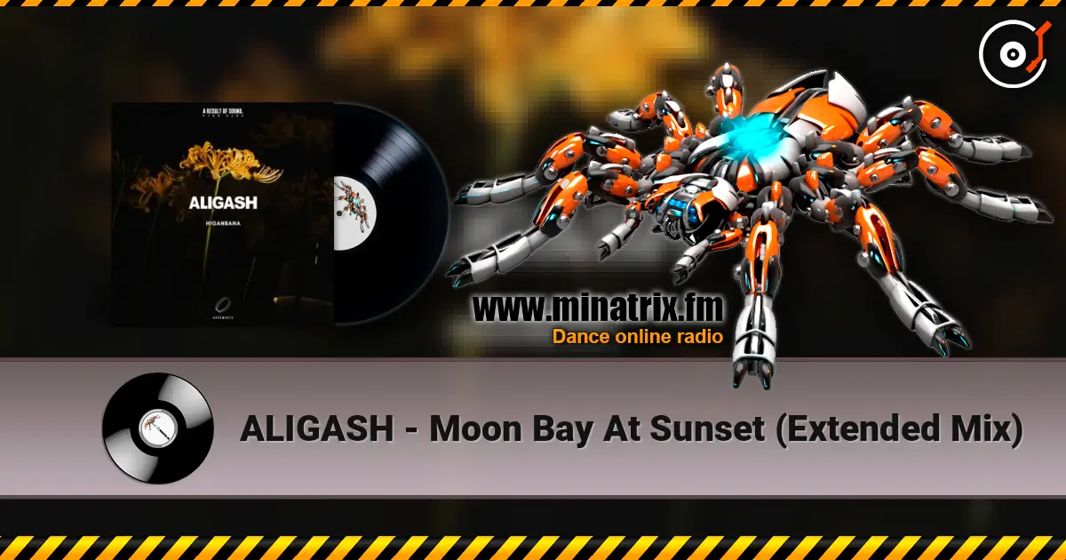 ALIGASH - Moon Bay At Sunset (Extended Mix) online in hoher Qualität hören | Minatrix.FM