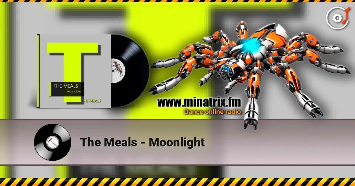 The Meals - Moonlight слушать онлайн в высоком качестве | Minatrix.FM