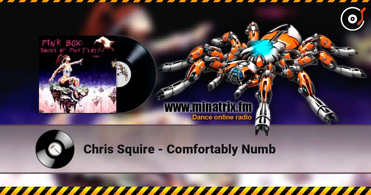 Chris Squire - Comfortably Numb слушать онлайн в высоком качестве | Minatrix.FM