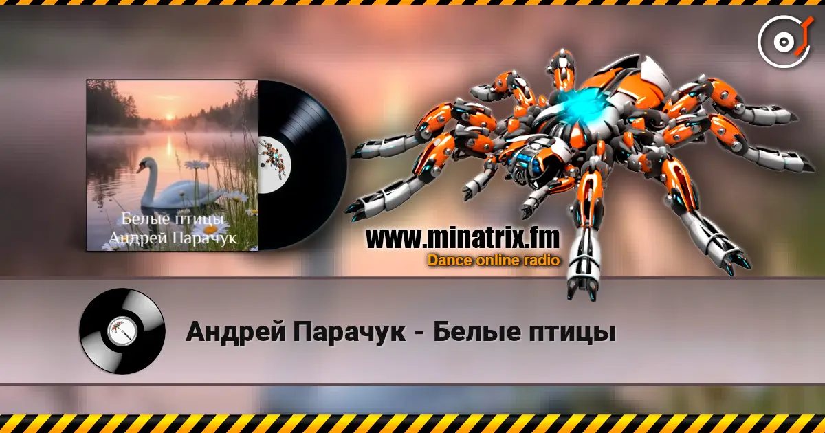 Андрей Парачук - Белые птицы слухати онлайн у високій якості | Minatrix.FM