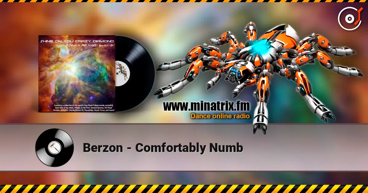 Berzon - Comfortably Numb 高品质在线收听 | Minatrix.FM
