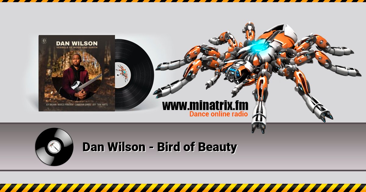 Dan Wilson - Bird of Beauty Dan Wilson - Bird of Beauty скачать бесплатно