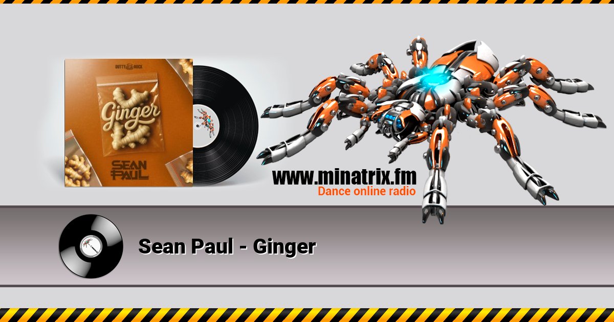 Sean Paul - Ginger Sean Paul - Ginger скачать бесплатно