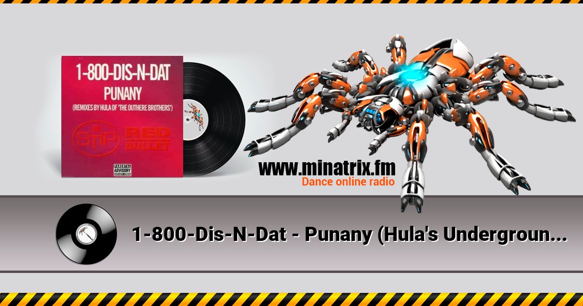 1-800-Dis-N-Dat - Punany (Hula's Underground Long) 1-800-Dis-N-Dat - Punany (Hula's Underground Long) скачать бесплатно