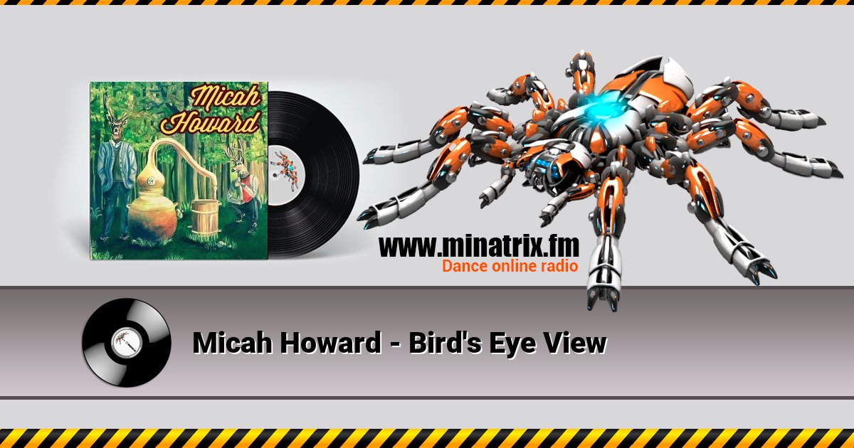 Micah Howard - Bird's Eye View Micah Howard - Bird's Eye View скачать бесплатно