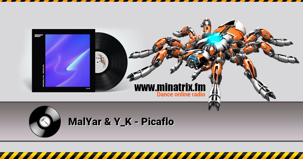 MalYar & Y_K - Picaflo MalYar & Y_K - Picaflo скачать бесплатно