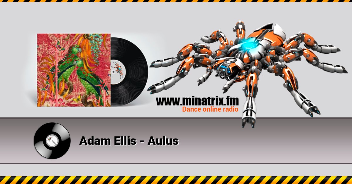Adam Ellis - Aulus  