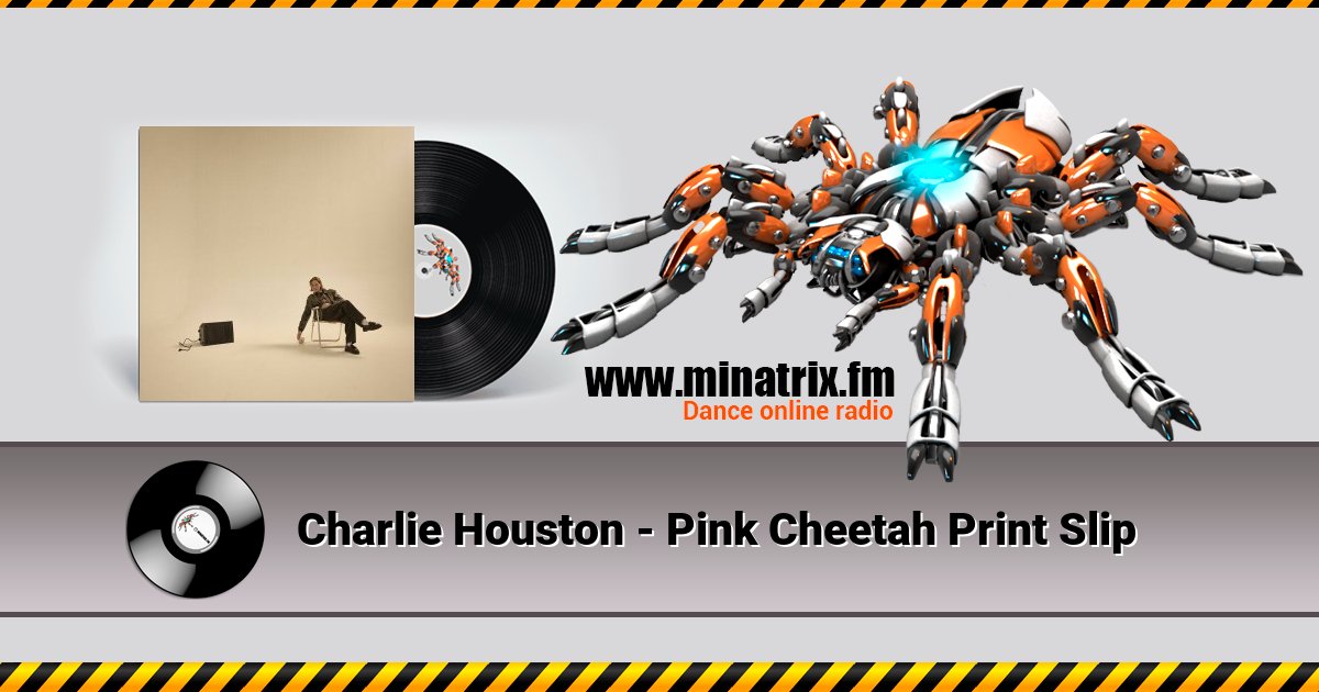 Charlie Houston - Pink Cheetah Print Slip Charlie Houston - Pink Cheetah Print Slip скачать бесплатно