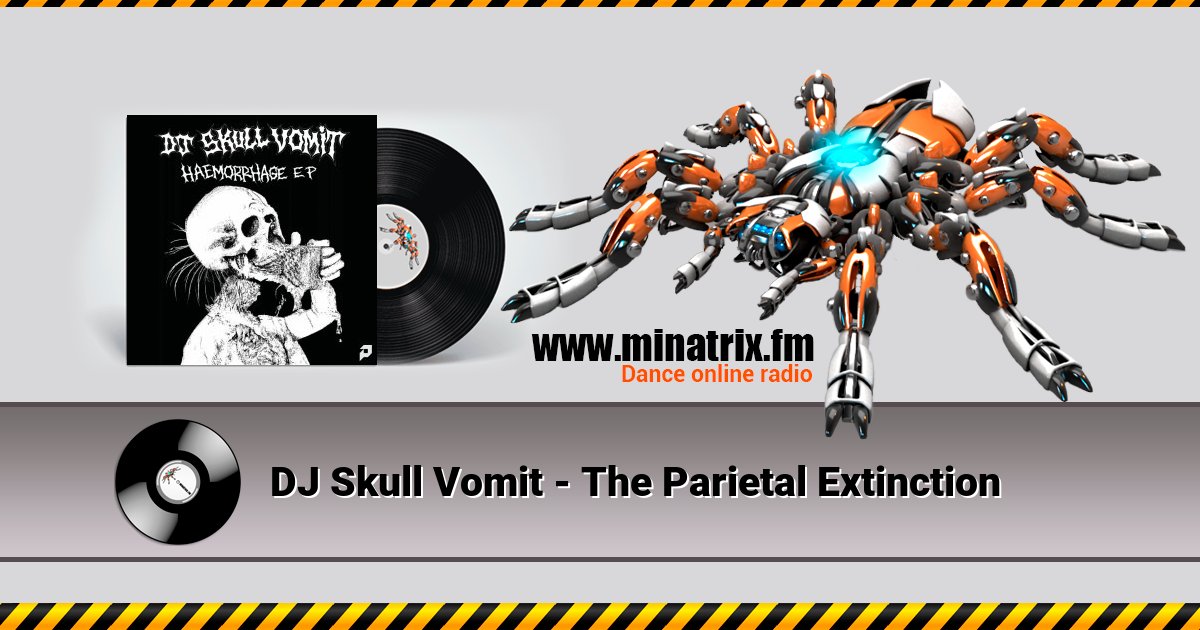 DJ Skull Vomit - The Parietal Extinction DJ Skull Vomit - The Parietal Extinction скачать бесплатно