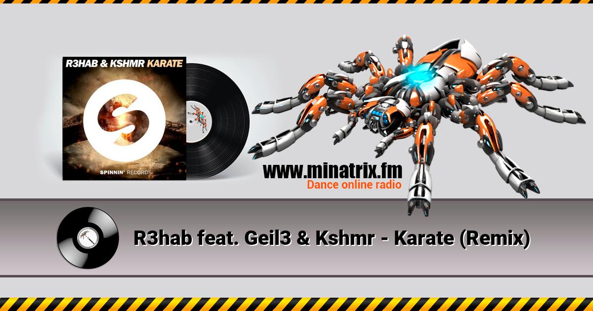 R3hab feat. Geil3 & Kshmr - Karate (Remix)  