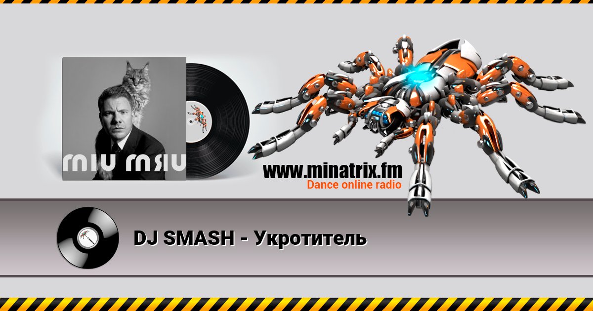 DJ SMASH - Укротитель DJ SMASH - Укротитель скачать бесплатно