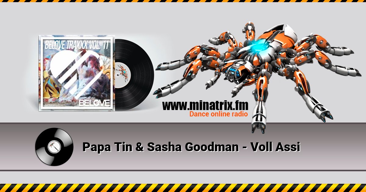Papa Tin & Sasha Goodman - Voll Assi Papa Tin & Sasha Goodman - Voll Assi скачать бесплатно