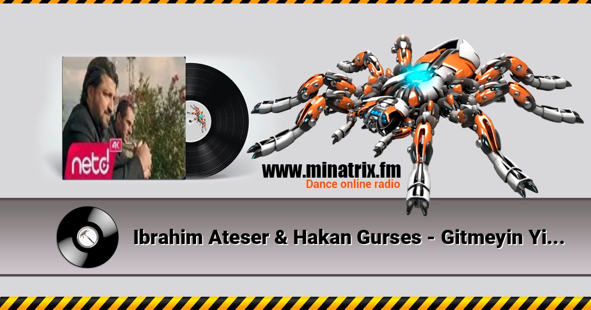 Ibrahim Ateser & Hakan Gurses - Gitmeyin Yillar 在线播放并下载 MP3