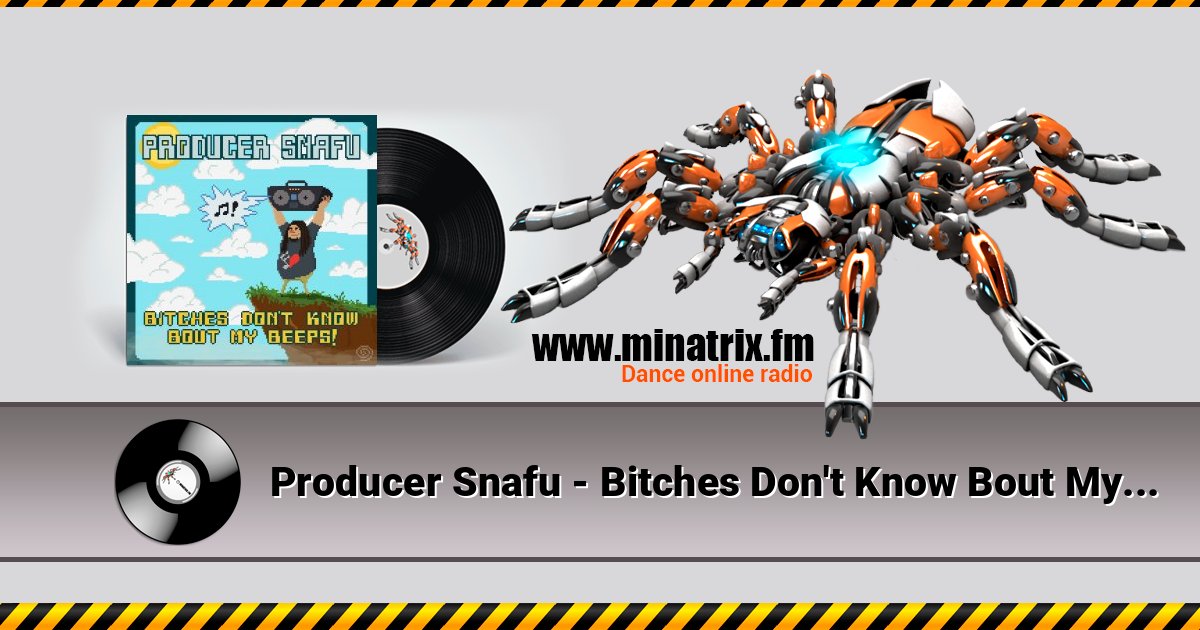 Producer Snafu - Bitches Don't Know Bout My Beeps Escuchar en línea y descargar MP3