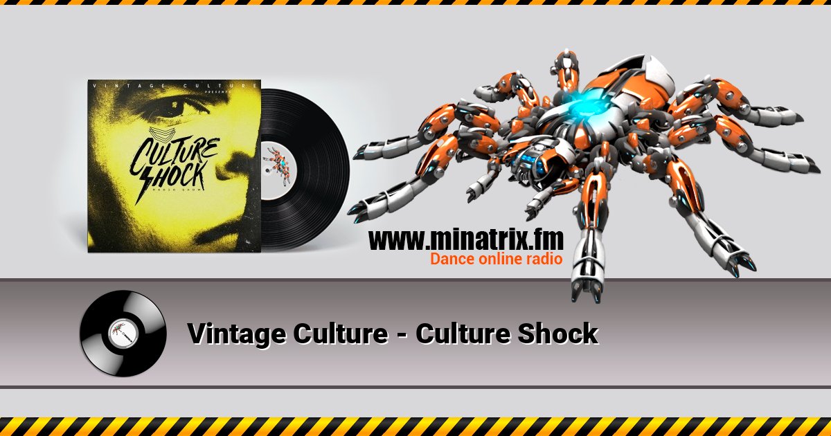 Vintage Culture - Culture Shock 在线播放并下载 MP3
